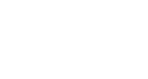ST Logo White.png